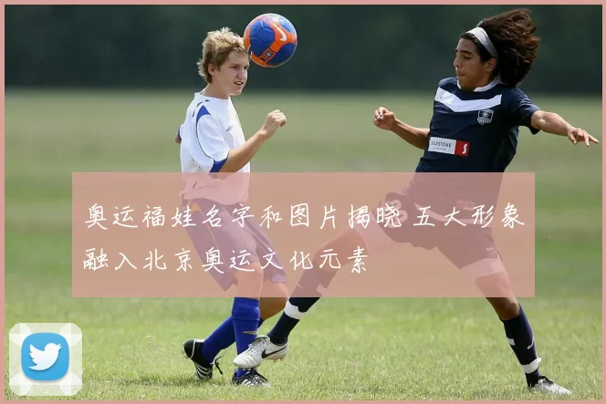 奥运福娃名字和图片揭晓 五大形象融入北京奥运文化元素