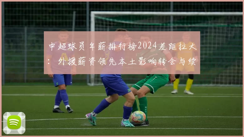 中超球员年薪排行榜2024差距拉大：外援薪资领先本土影响转会与续约