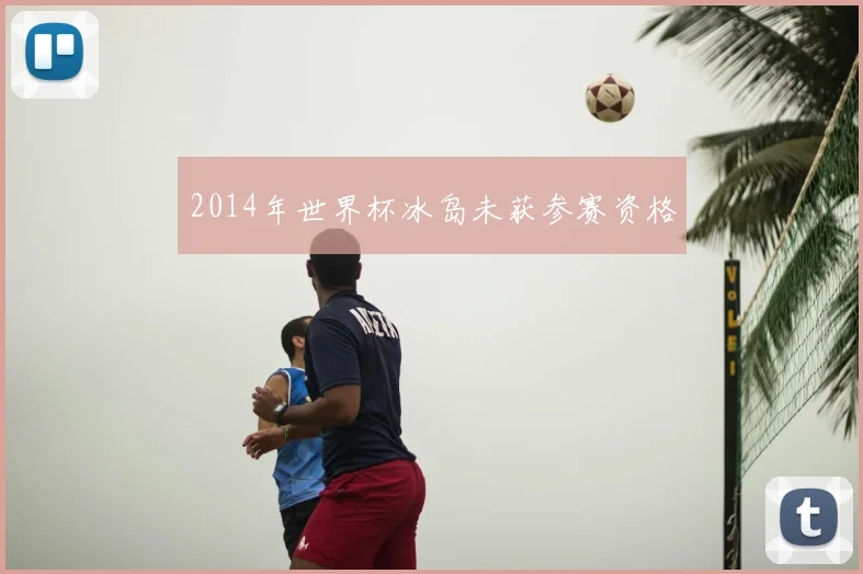 2014年世界杯冰岛未获参赛资格