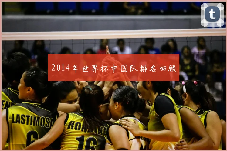 2014年世界杯中国队排名回顾