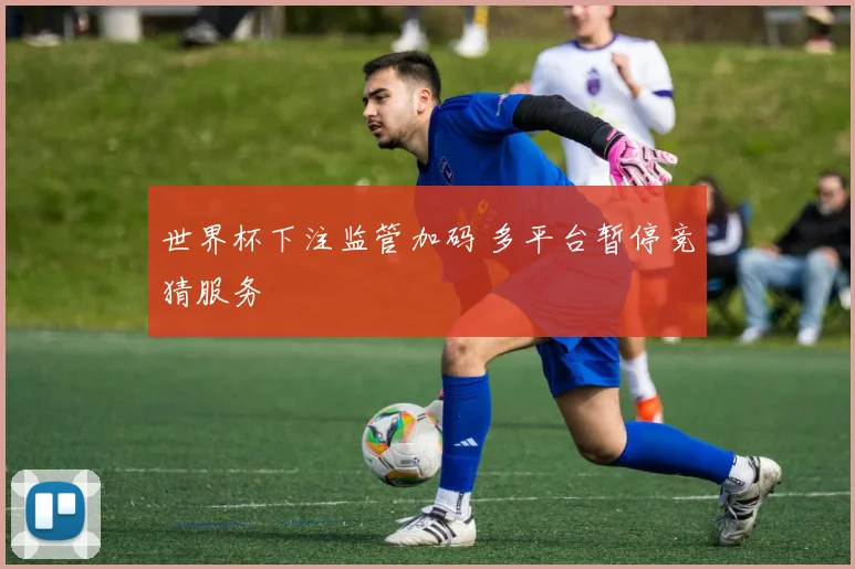 世界杯下注监管加码 多平台暂停竞猜服务