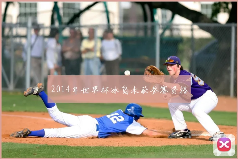 2014年世界杯冰岛未获参赛资格