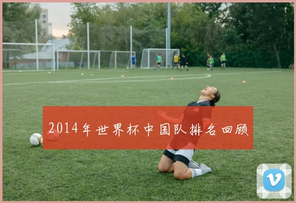 2014年世界杯中国队排名回顾