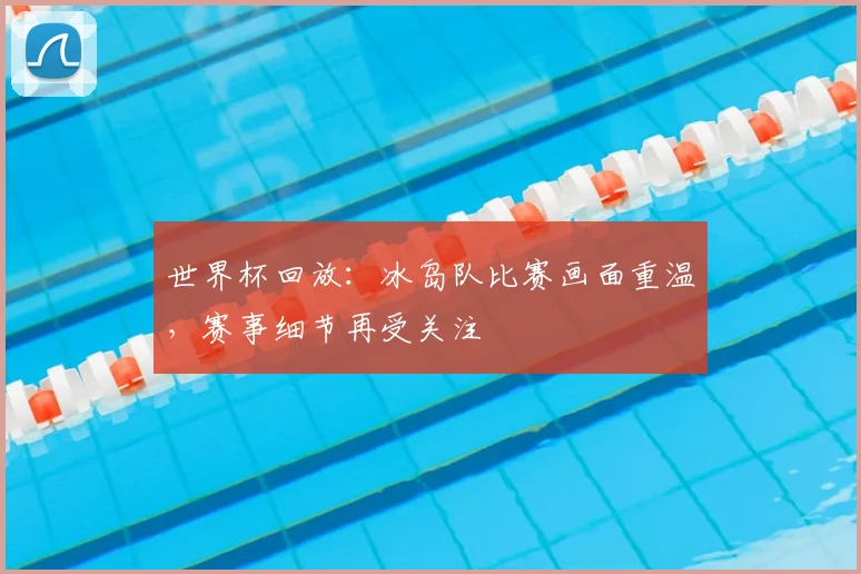 世界杯回放:冰岛队比赛画面重温,赛事细节再受关注