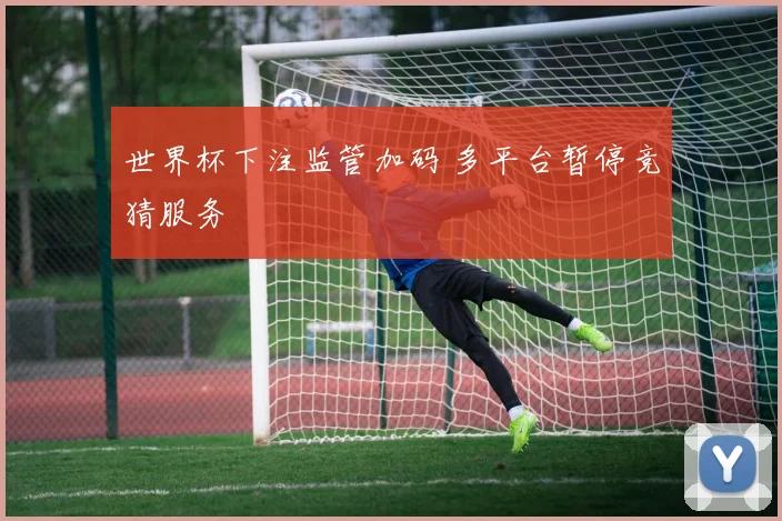 世界杯下注监管加码 多平台暂停竞猜服务